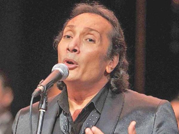 علي الحجار 3