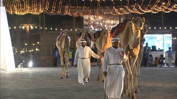 برنامج «الحصن».. رحلة على جناحي الأصالة والتراث