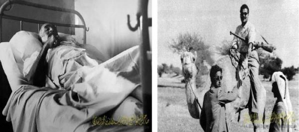 سلطان.. «حكايات في صور»