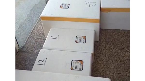 أسواق السمك