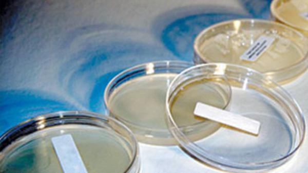 العقم عند الرجال