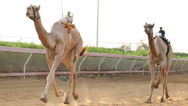 من منافسات السباق