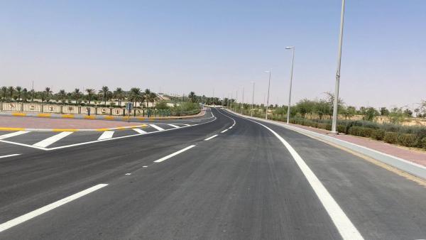 طريق مستشفى ليوا