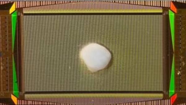 حاسوب هجين من الإلكترونيات والأنسجة البشرية