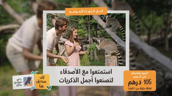 dubai safari