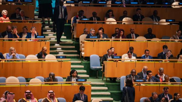 عبدالله بن زايد