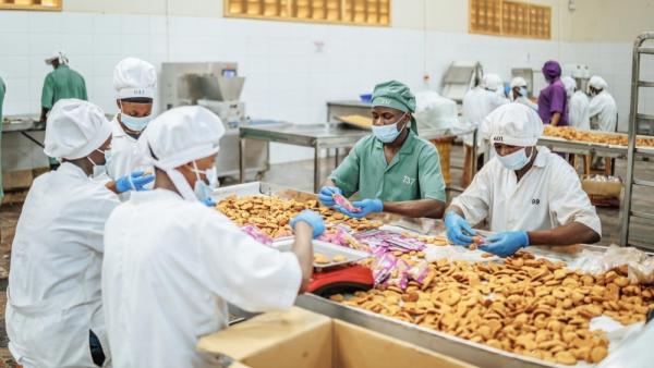 الاستثمار في صغار المزارعين ورواد الأعمال الريفيين في المرحلة الأولى من سلاسل القيمة الغذائية