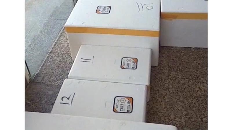 أسواق السمك