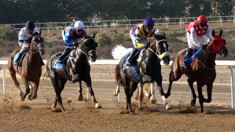 الشارقة للفروسية