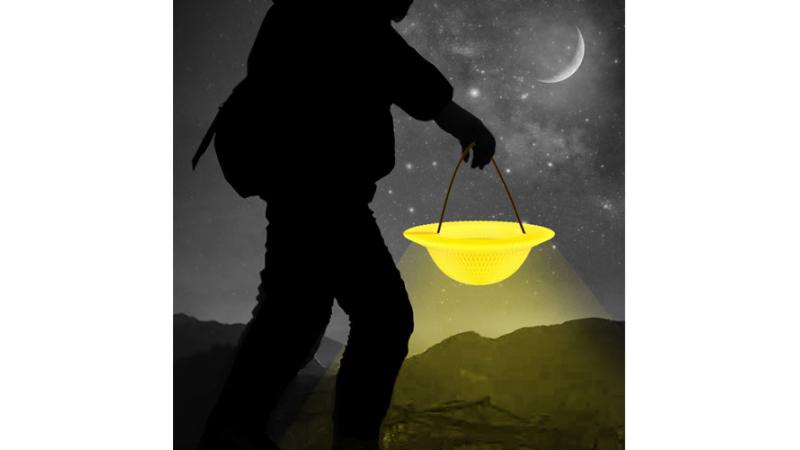 معرض الخريجين