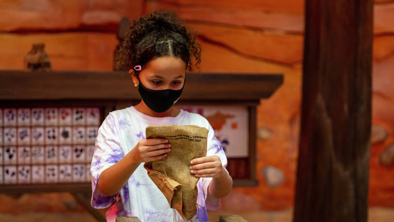 الأحجار الثمينة