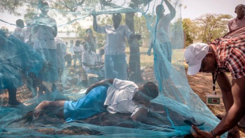 «كورونا» ينعش إصابات «الملاريا» في أفقر مناطق إفريقيا