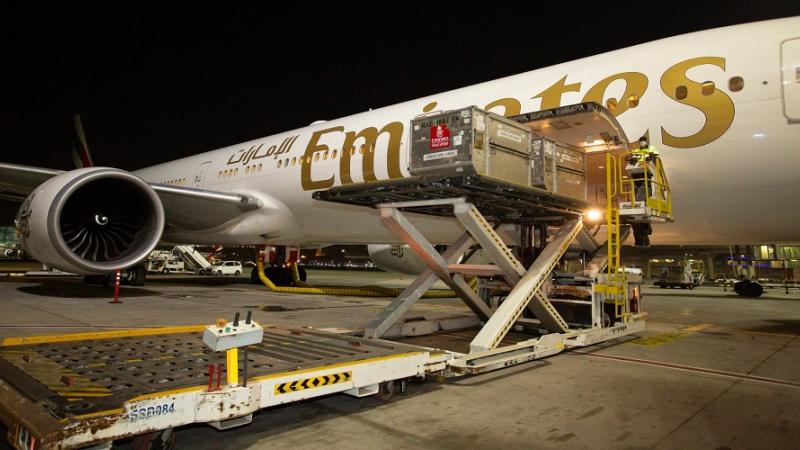 دبي تتسلم شحنة فايزر