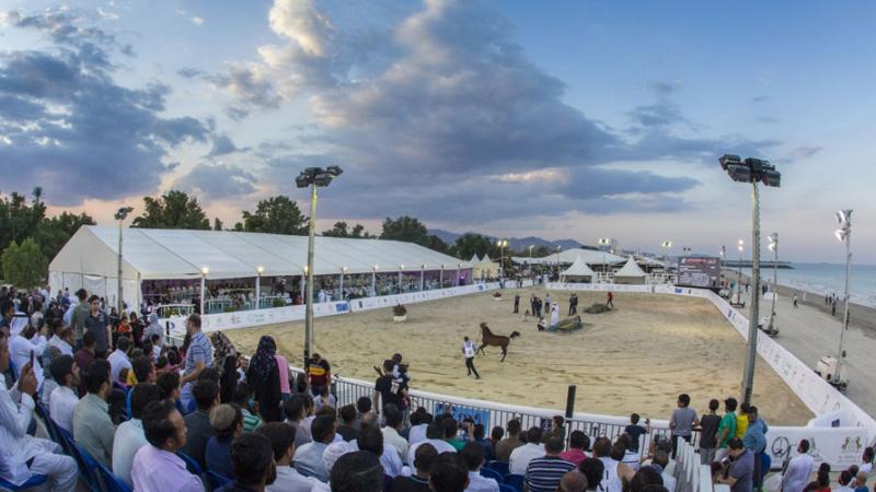 مهرجان الشارقة كلباء للجواد العربي 