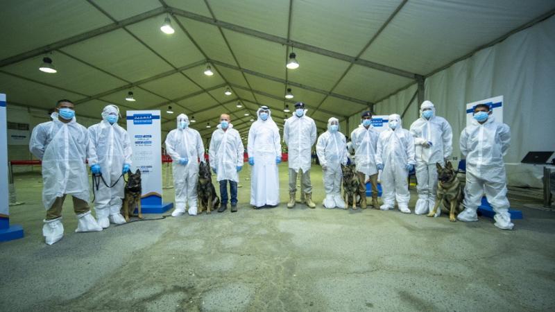 دراسة : الكشف عن "كوفيد 19" باستخدام حاسة الشم لدى الكلاب الجمركية