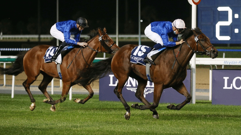 مضمار ميدان