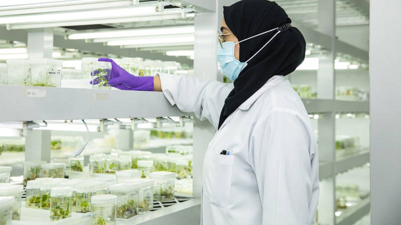 جامعة الإمارات