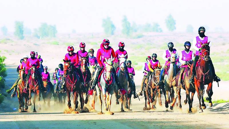 مهرجان ولي عهد دبي للقدرة