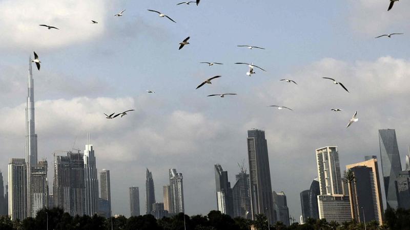 أفق مدينة دبي