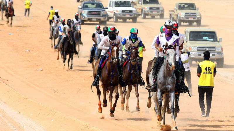  مهرجان أبوظبي للقدرة 