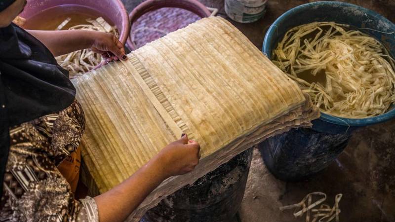قرية مصرية تكافح للمحافظة على صناعة ورق البردي | صحيفة الخليج