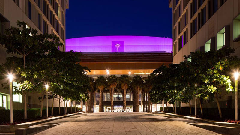 جامعة نيويورك أبوظبي  