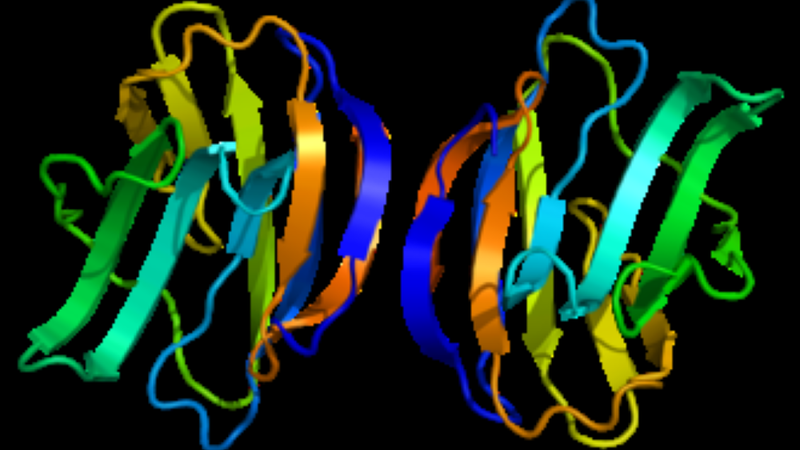 تصور لطريقة عمل البروتين المكتشف مع الخلايا 