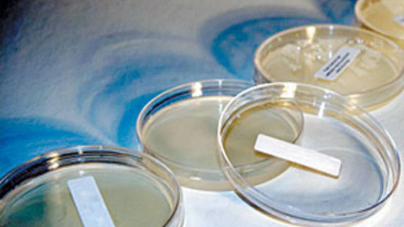 العقم عند الرجال