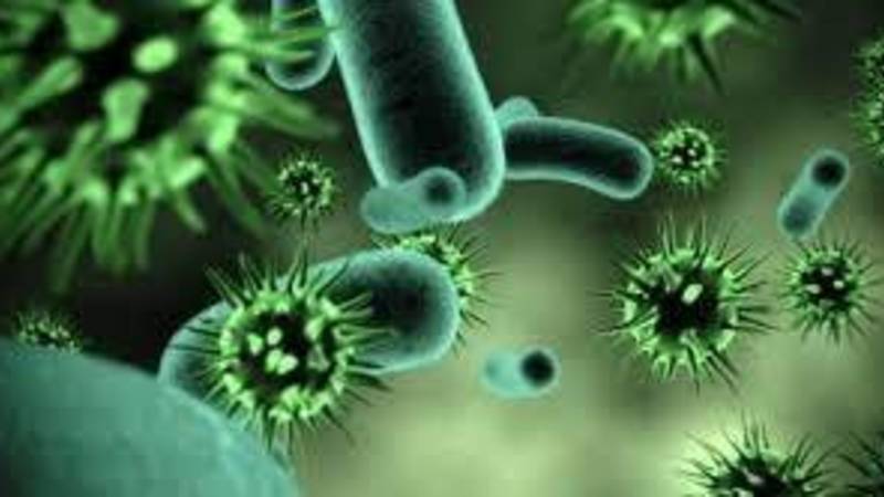 الصحة العالمية» تعلن تفشّي فيروس «ماربورغ» في غانا | صحيفة الخليج