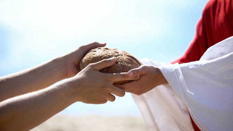 حكم تقديم الإطعام