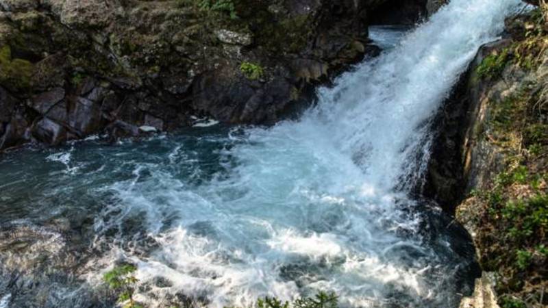 فيينا عاصمة ترويها الينابيع