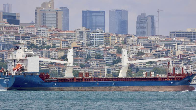 سفينة شحن تمر عبر مضيق البوسفور في اسطنبول