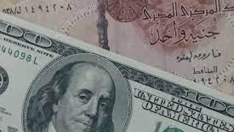 بعد صعوده عالمياً.. الدولار يواصل ارتفاعه في مصر