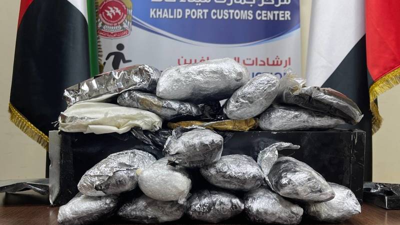 عينة من الضبطيات