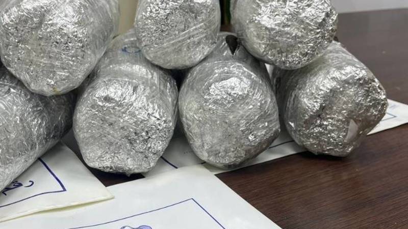 عينة من الضبطيات