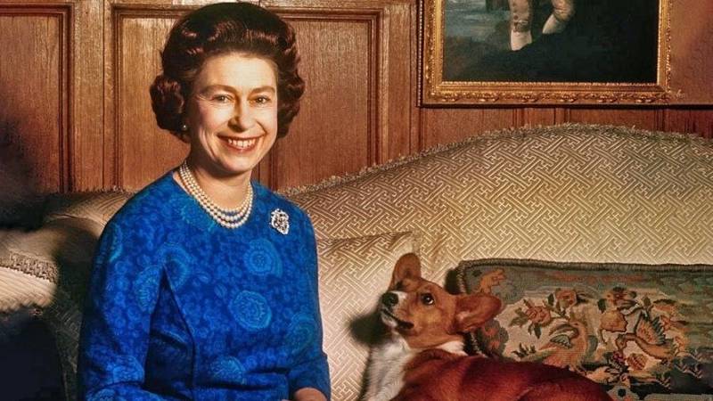 معرض يبرز علاقة الملكة إليزابيث الثانية بكلابها