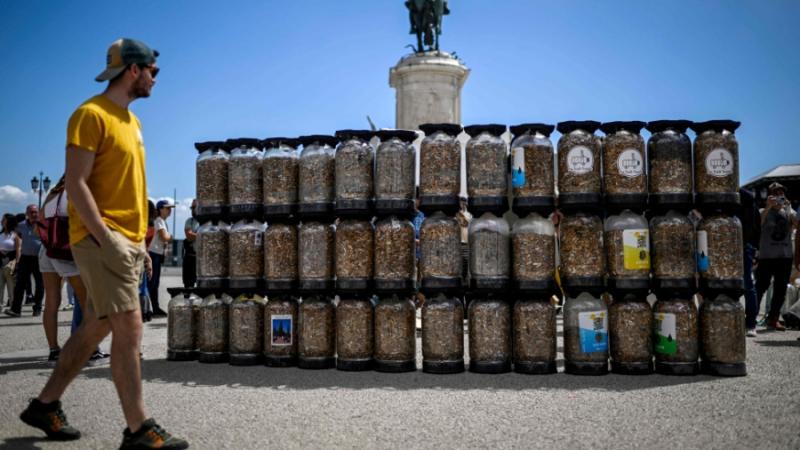 ناشطون برتغاليون يجمعون أعقاب السجائر للتوعية من هذه الملوثات