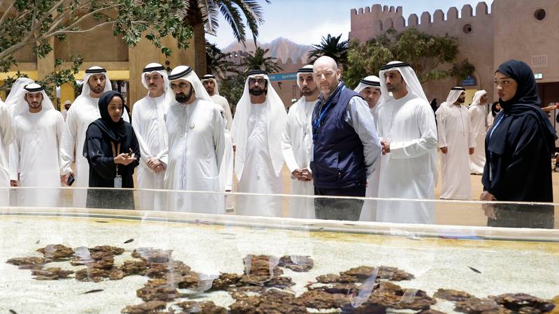 محمد بن راشد