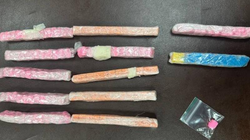 «جمارك دبي» تضبط مسافراً أوروبياً حاول تهريب الممنوعات