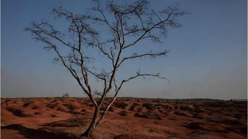 أرض جيلبويس، في ولاية بياوي البرازيلية