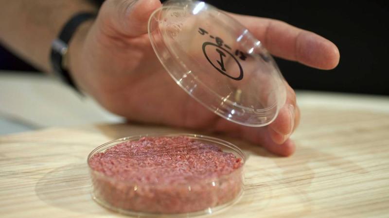 إيطاليا تحظر إنتاج اللحوم المصنوعة مخبرياً