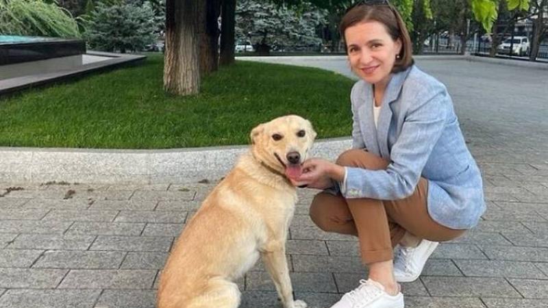 فيديو| كلب رئيسة مولدوفا يعض رئيس النمسا