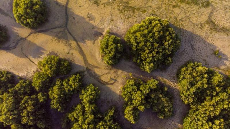 «بيئة أبوظبي» تشارك بفعالية في مؤتمر «COP28»