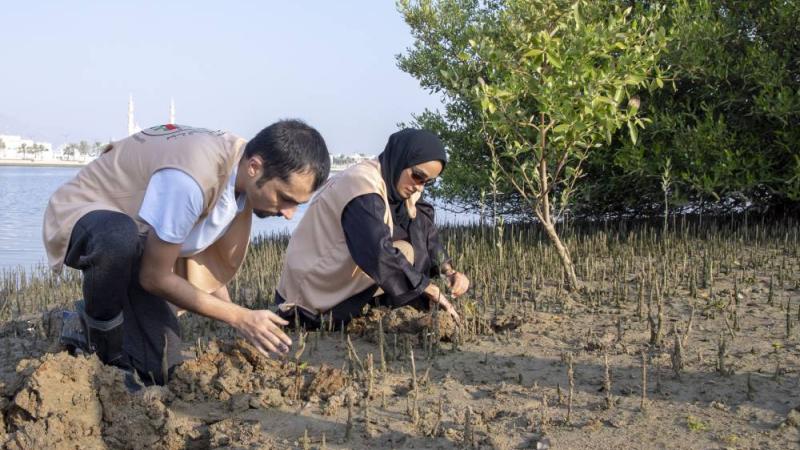 «بيئة ومحميات الشارقة» تنجز زراعة 1300 شتلة ضمن مبادرة أشجار القرم في 2023