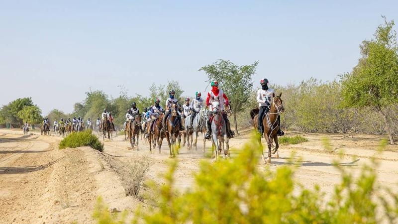 النسخة الـ 16 لمهرجان ولي عهد دبي للقدرة تنطلق الثلاثاء