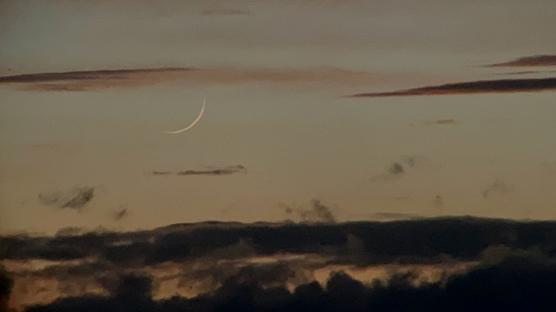 «الفلك الدولي»: تحري هلال شهر شعبان السبت المقبل