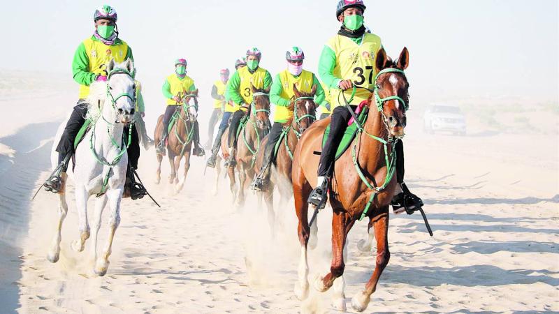 كأس رئيس الدولة للقدرة تحتفل باليوبيل الفضي