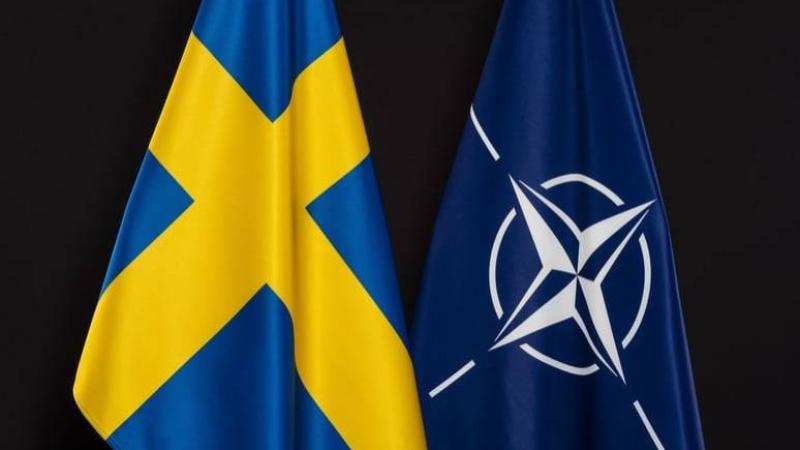 وفد من الكونجرس الأمريكي يزور المجر لدفع مساعي انضمام السويد إلى الناتو