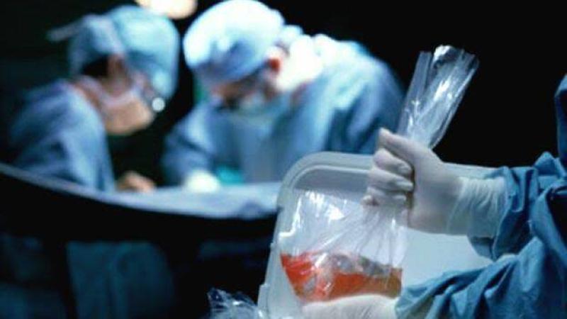 مصر.. نفي رسمي لانتشار عصابات لتجارة الأعضاء تستدرج الأطفال