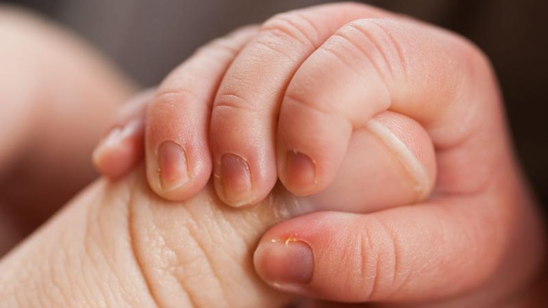 إصدار إقامة جديدة لمولود